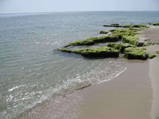  放松在海边 